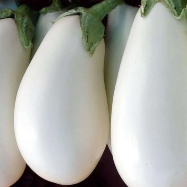 casper eggplant seeds