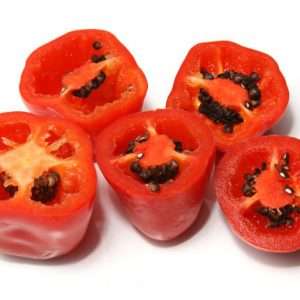 Red Rocoto chilli seeds