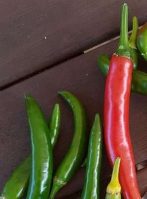 Caysan chilli seeds | Most Popular Seeds