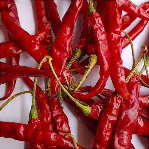 Teja Indian chilli seeds