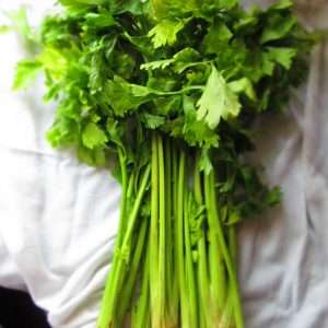 Chinese Celery seeds