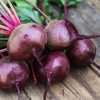 Beetroot early wonder seeds