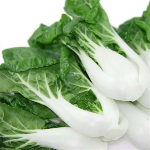 Bok choy white stem seeds