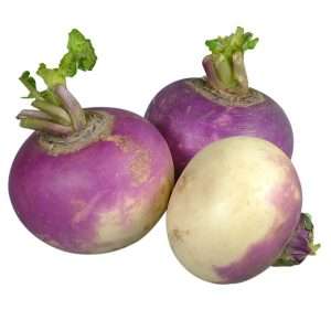 Turnip Purple Top seeds