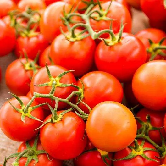 Tomato sweetie seeds