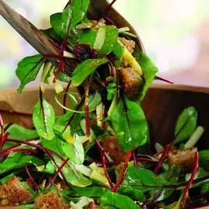 Beetroot Baby Leaf seeds
