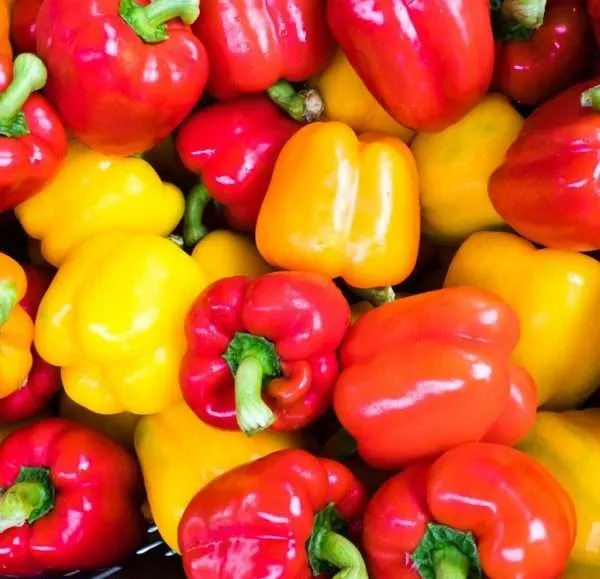 Capsicum Sweet Delight seeds