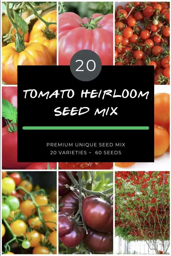 Heirloom tomato seed mix buy tomatoes online