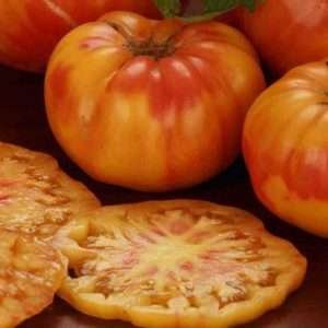 TOmato Big Rainbow seeds