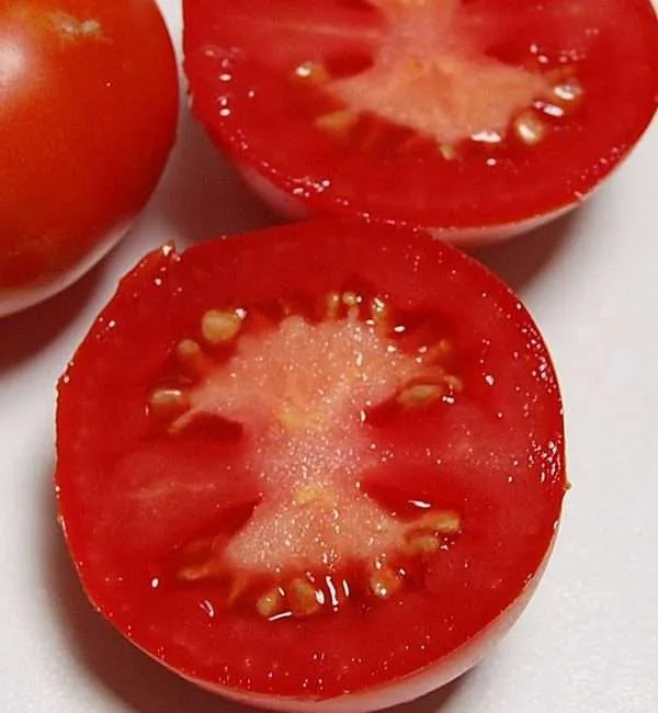 Tomato Romano seeds