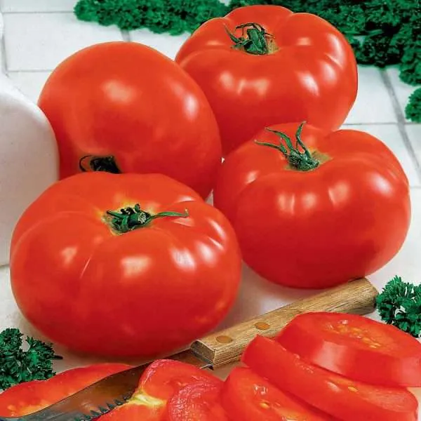 Tomato Big Beef seeds