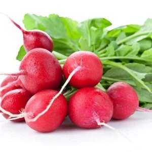 Radish Crimson Giant seeds