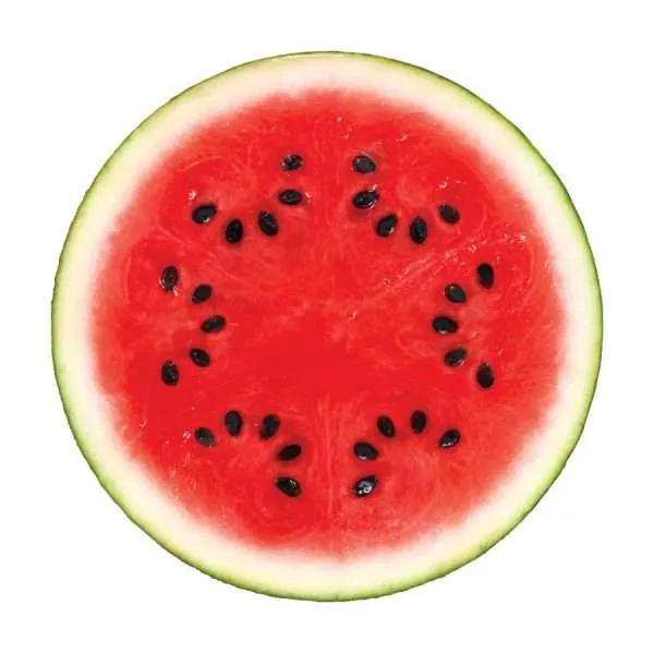 Watermelon Warpaint seeds