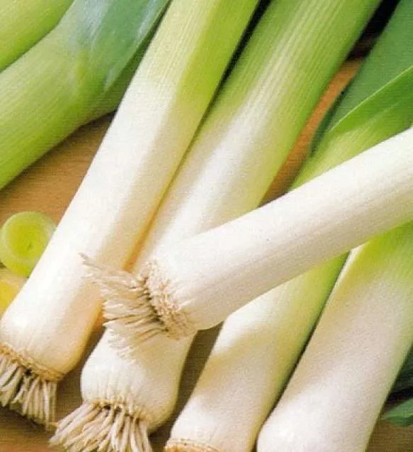 Leek Carentan seeds