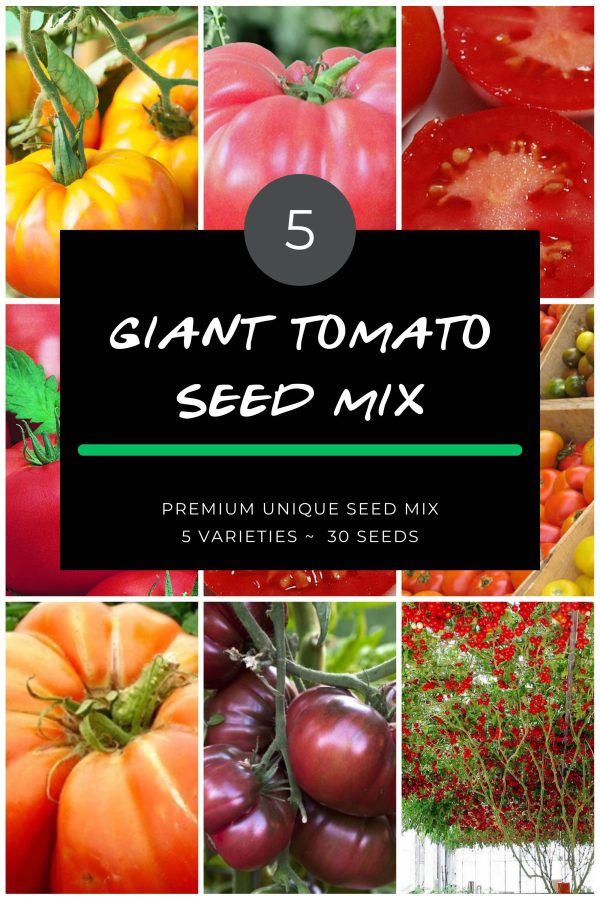 Giant Tomato seed mix