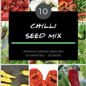 Chilli Seed mix