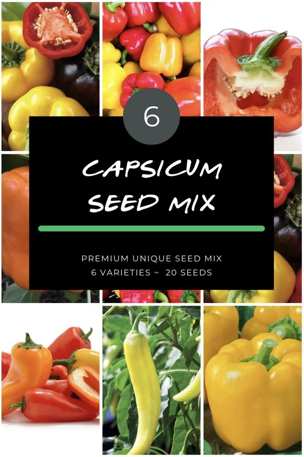 Capsicum seeds online, capsicum seed mix