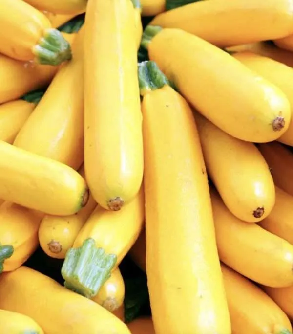 Golden Zucchini seeds Australia