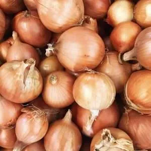 gladalan brown seeds