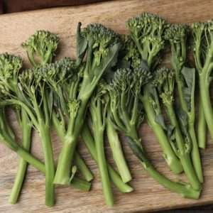 Broccoletti seeds online Broccolini
