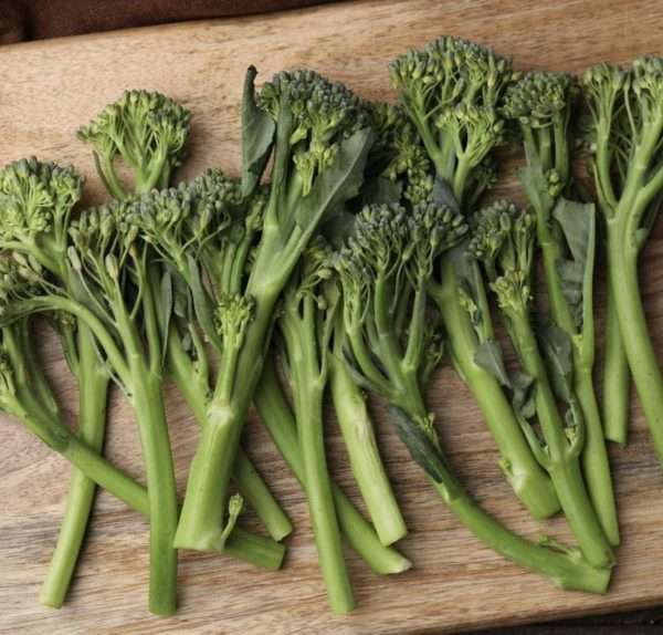 Broccoletti seeds online Broccolini