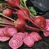 Beetroot Chioggia seeds online