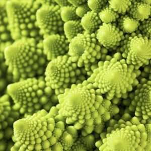 Broccoli Romanesco seeds online