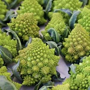 Broccoli Romanesco seeds online