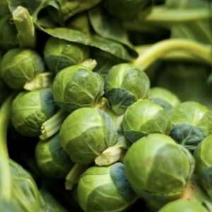 Brussel Sprouts Evesham seeds online
