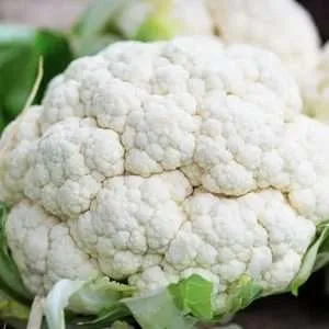 Cauliflower Snow Ball Early seeds online