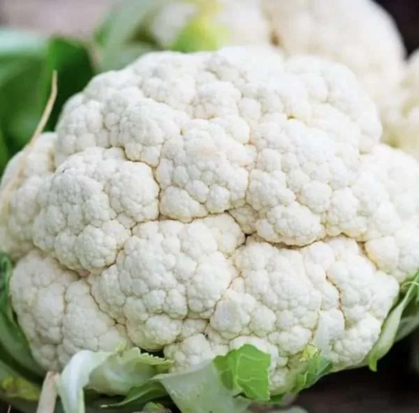 Cauliflower Snow Ball Early seeds online