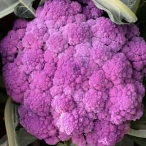 Purple Sicily Cauliflower seeds online