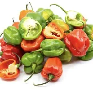 Habanero Chilli seed mix online