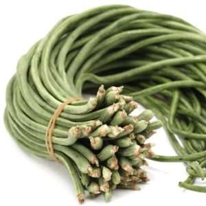 Red Dragon snake bean seeds online