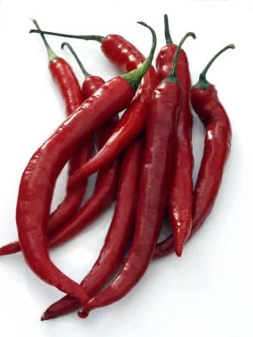 Thick cayenne chilli seeds online