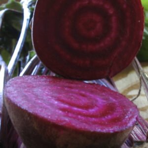 Red Ace Beetroot F1 seeds online