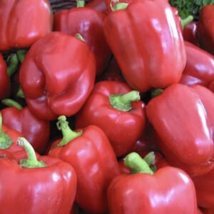 Capsicum Yolo Wonder seeds online