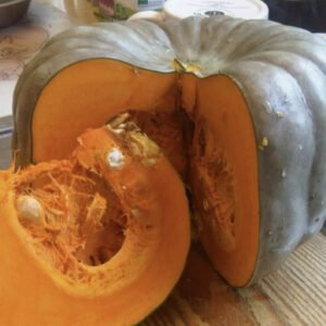 Pumpkin Queensland Blue seeds online