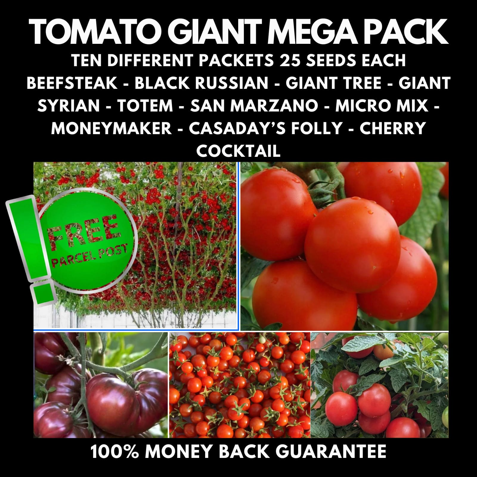 TOMATO GIANT MEGA Pack 250+ seeds